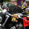 ToyRun 2012_0045